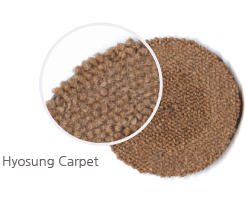 Hyosung Carpet